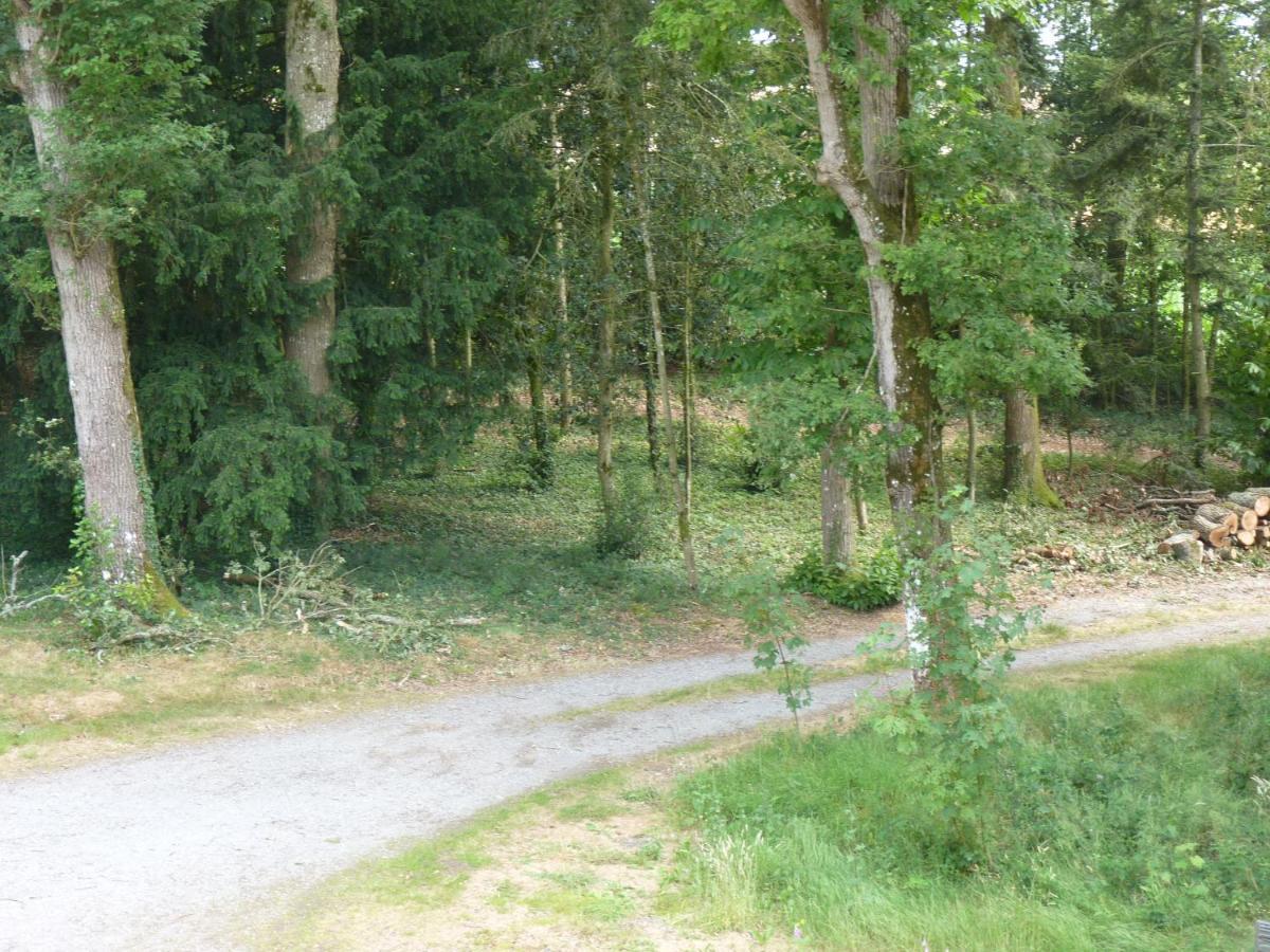 chateau de Craon Comblessac Exterior foto
